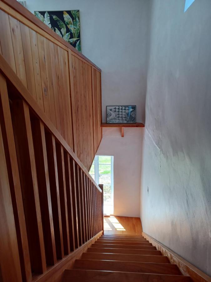 Pirita Vineyard Cottage. Upper Moutere Ngoại thất bức ảnh