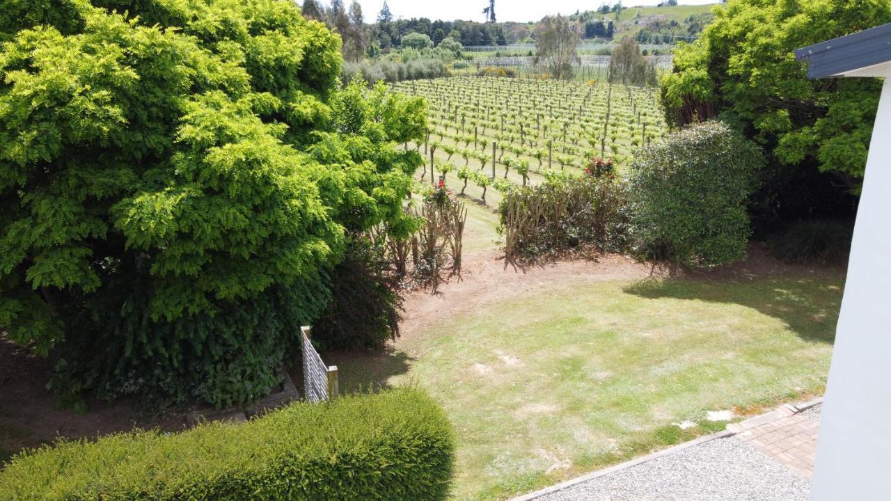 Pirita Vineyard Cottage. Upper Moutere Ngoại thất bức ảnh